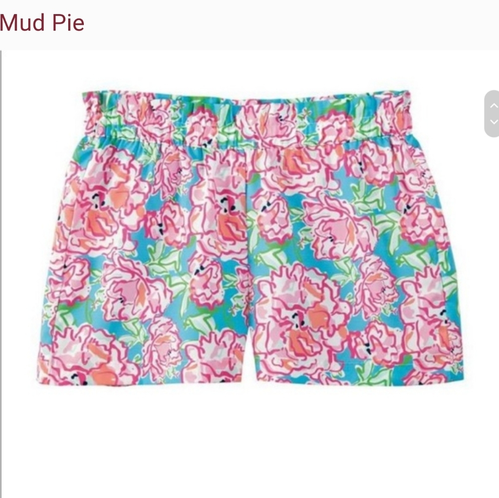 Mud pie